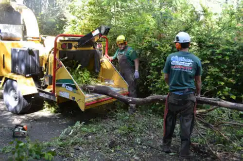 tree services Camp Pendleton South